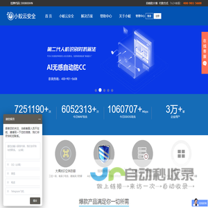 国外服务器,海外服务器,服务器租用,出租-小蚁网络